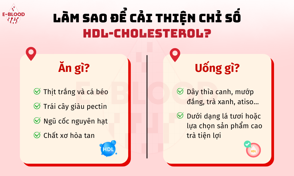 Làm sao để cải thiện chỉ số HDL-Cholesterol?