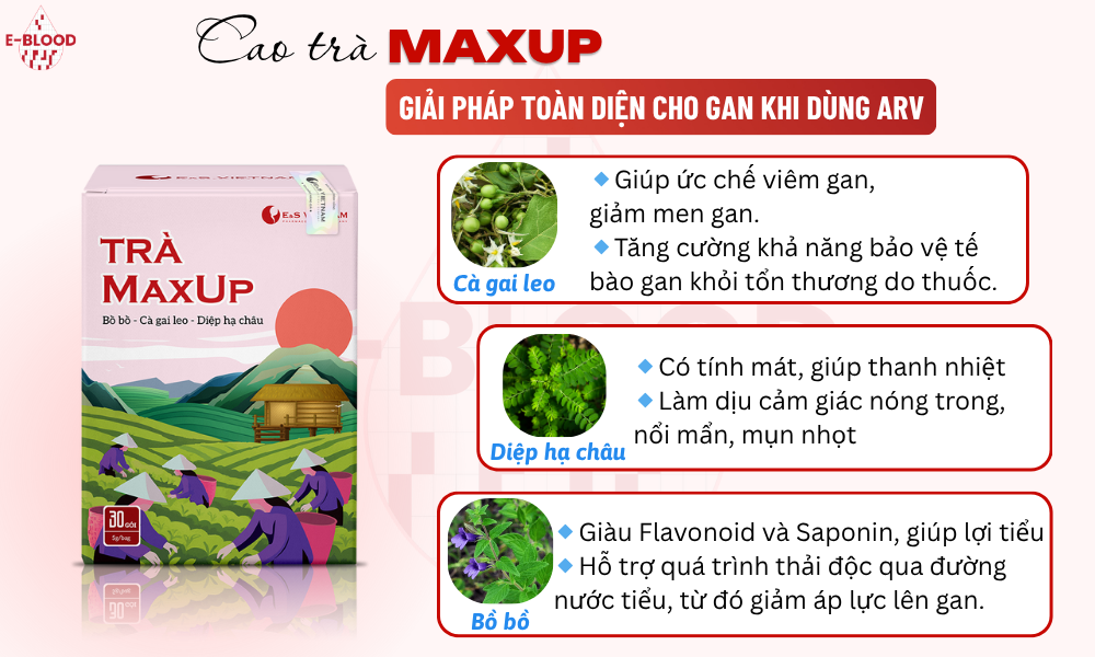 Cao trà MAXUP – Giải pháp toàn diện cho gan khi dùng ARV