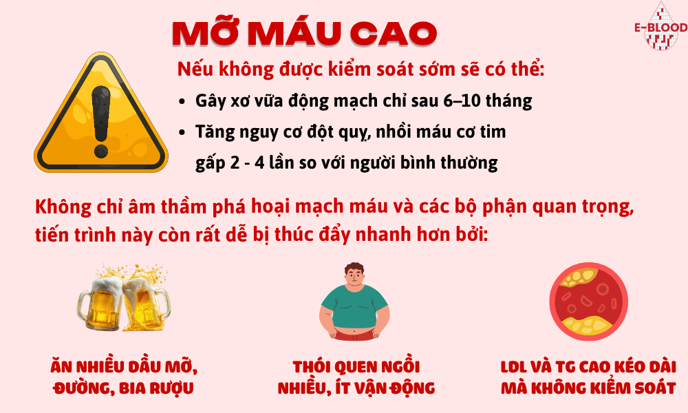 Sự tiến triển và mức độ nguy hiểm của mỡ máu cao
