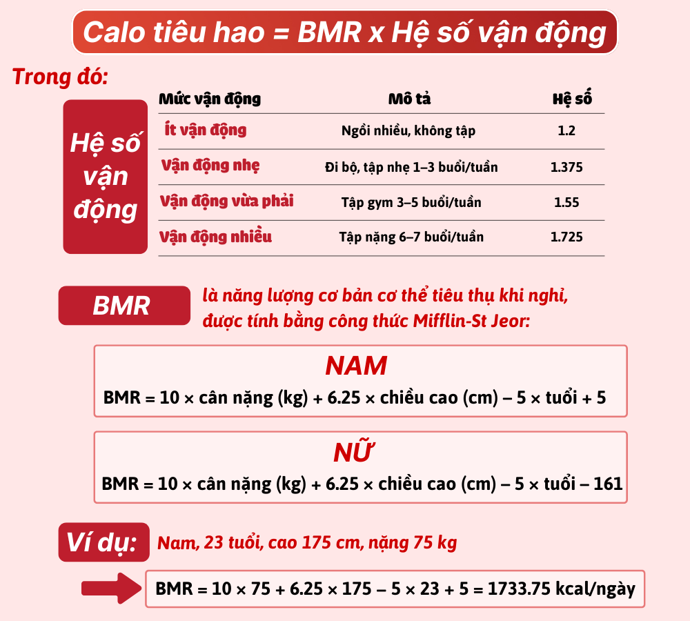 Công thức tính calo duy trì hàng ngày 